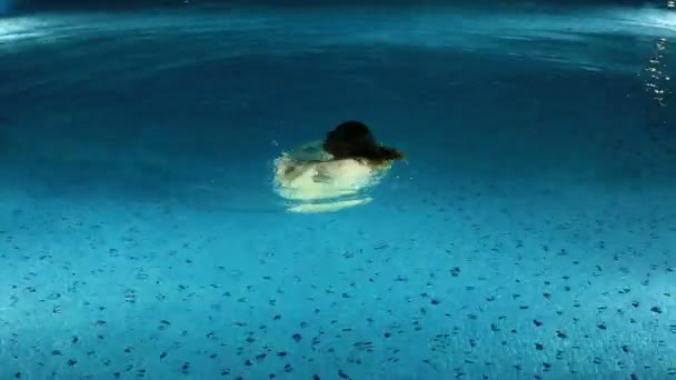 Mulheres nadando uma piscina de luxo — Vídeo de Stock