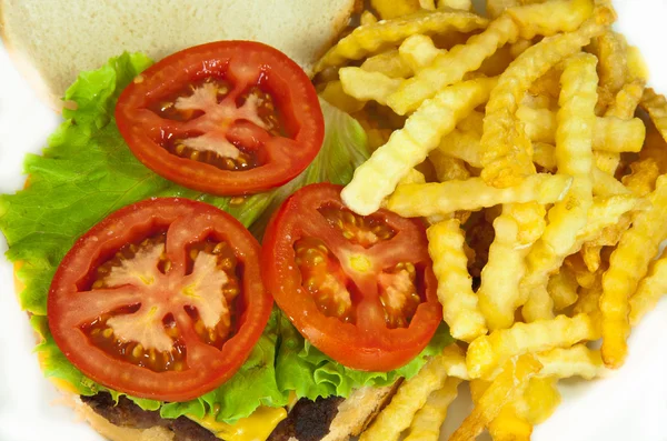 Deliciosa hamburguesa — Foto de Stock