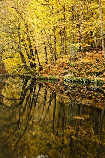 Sieben Seen — Stockfoto