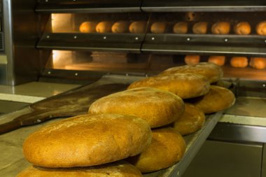 bir fırın fırında pişmiş ekmek