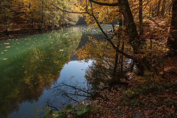 Herbst — Stockfoto