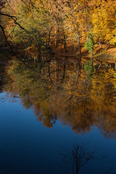 Herbst — Stockfoto