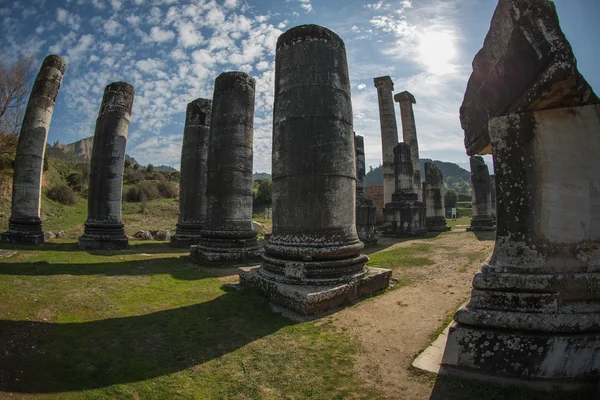 Ruins Artemis Temple — Stock Photo, Image