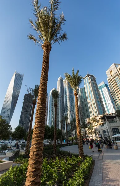 Widok na miasto z Dubaju — Zdjęcie stockowe
