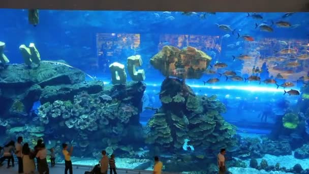 Die dubai mall im vereinigten arabischen emirat uae — Stockvideo