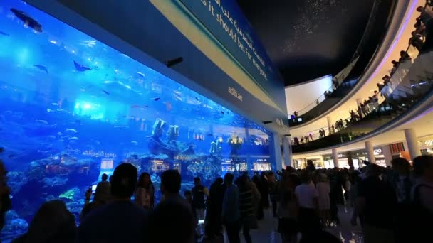 Il Dubai Mall negli Emirati Arabi Uniti Emirati Arabi Uniti — Video Stock