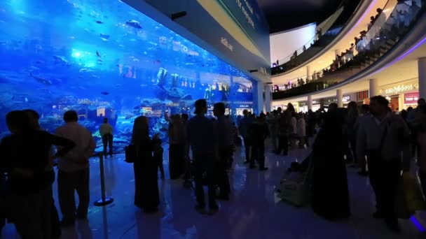 El Dubai Mall en Emiratos Árabes Unidos Emiratos Árabes Unidos — Vídeos de Stock