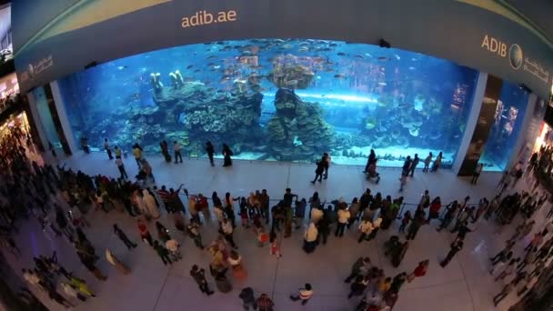 Centrum handlowego w Dubaju w Zjednoczonych Emiratach Arabskich ZEA — Wideo stockowe