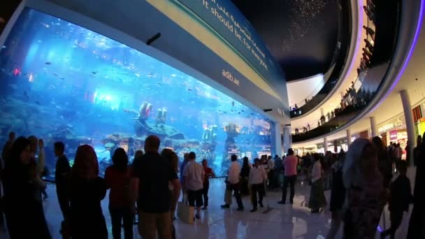 A Dubai Mall, Egyesült Arab Emírségek, UAE — Stock videók