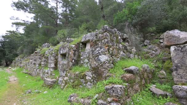 Ancient city of Olympos 6 — Stock Video