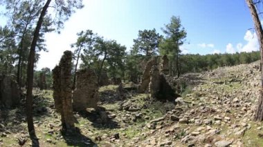 Antik Seleucia kenti (Lybre) 9