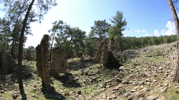 Antike stadt seleucia (lybre) 9 — Stockvideo