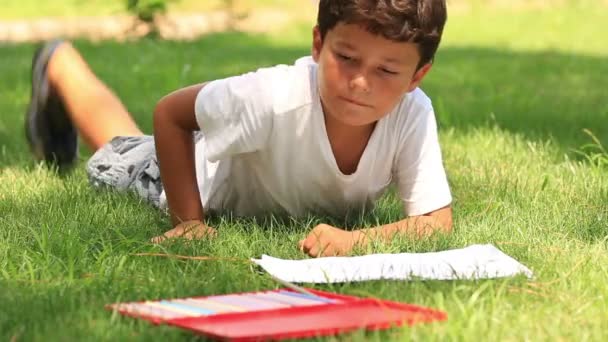 Child drawing on the grass — Stock Video