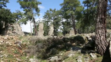 Antik Seleucia kenti (Lybre) 2