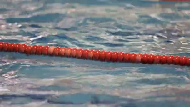 수영 훈련 8 — 비디오