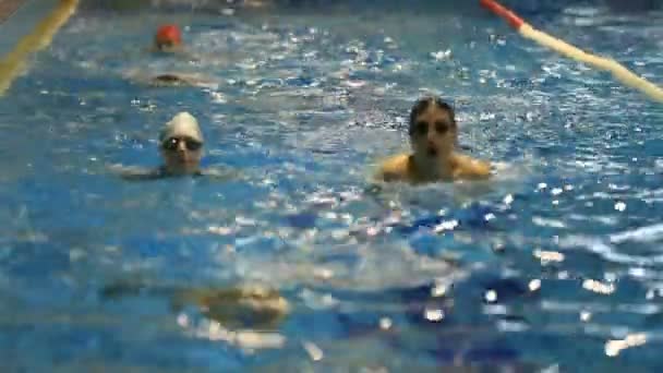 Entraînement à la natation 1 — Video