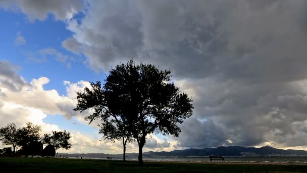 Deszcz chmury i drzewa — Wideo stockowe