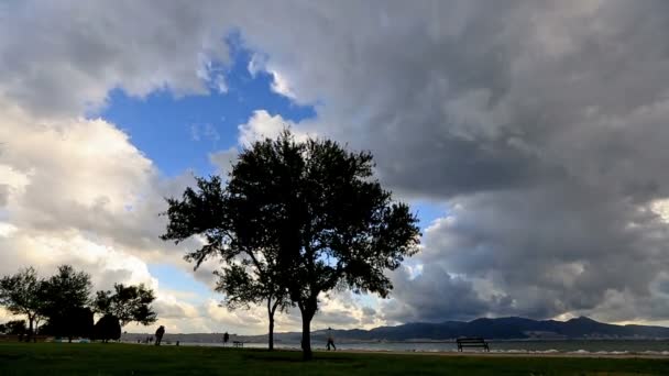 Nuvens de chuva e árvore — Vídeo de Stock