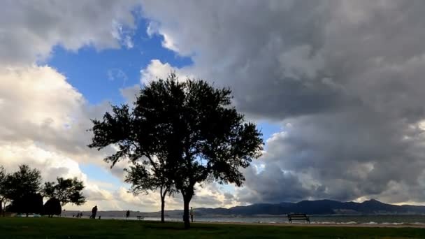 Tempo de lapso nuvens de chuva e árvore de rastreamento tiro — Vídeo de Stock