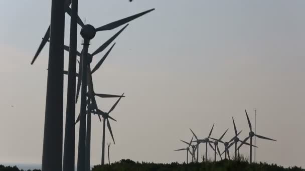 Turbine eoliche che generano energia pulita — Video Stock