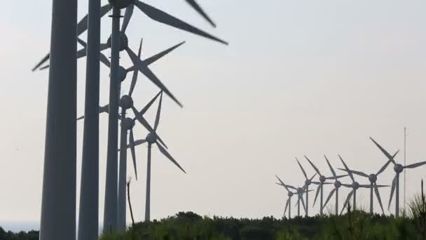 Turbine eoliche che generano energia pulita — Video Stock