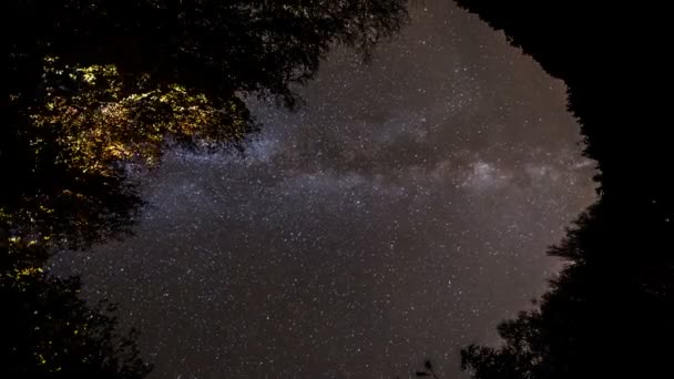 Voie lactée se déplaçant à travers le ciel nocturne sur la forêt — Video