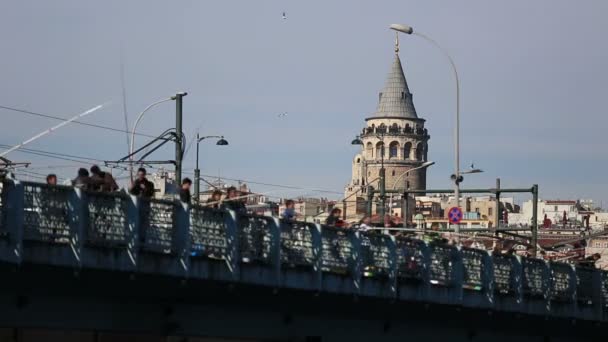 Lapso de tiempo personas que pescan en el puente — Vídeo de stock