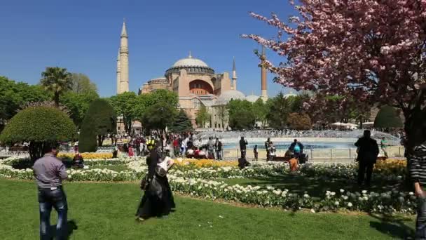 Hagia Sophia di Istanbul Turkey — Stok Video