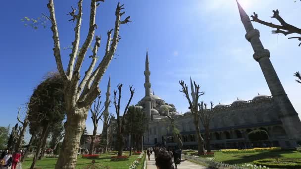 Time lapse Mosquée bleue — Video