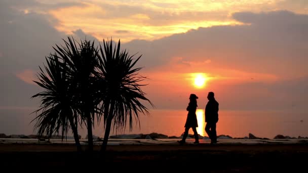 Пара ходить морською стороною на заході сонця — стокове відео