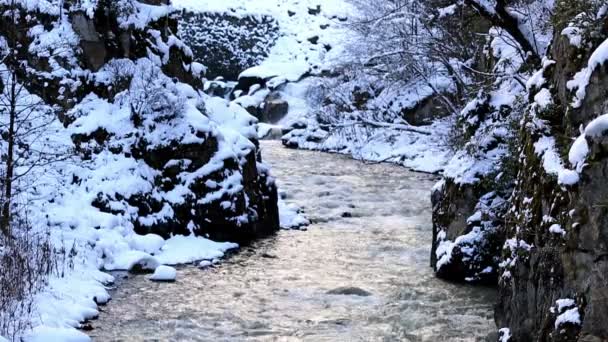 Fließender Fluss im Winter — Stockvideo