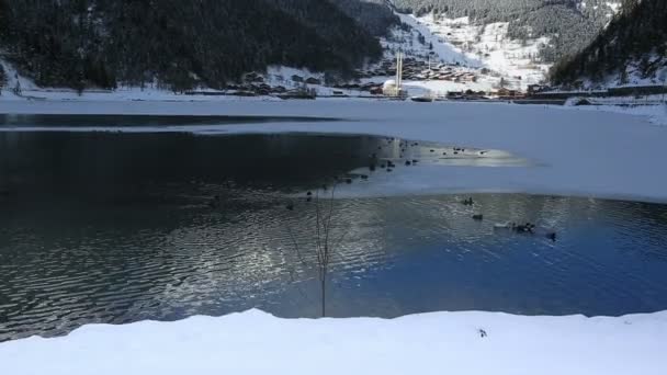 Endroit très célèbre Long Lake — Video