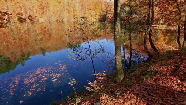 Złotej jesieni i refleksji — Wideo stockowe