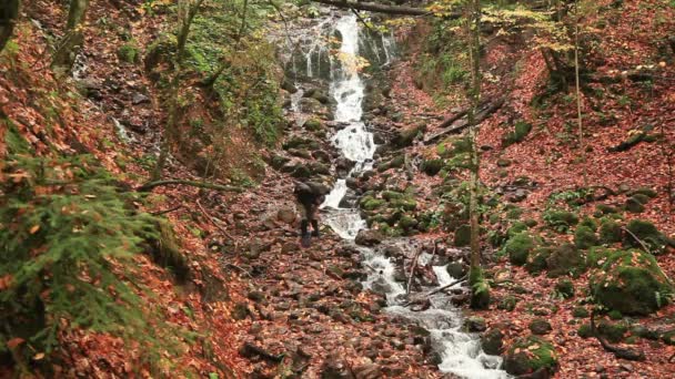 Abenteurer im Wald — Stockvideo