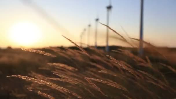 Wind turbine, väderkvarn, grön energi, förnybar energi — Stockvideo