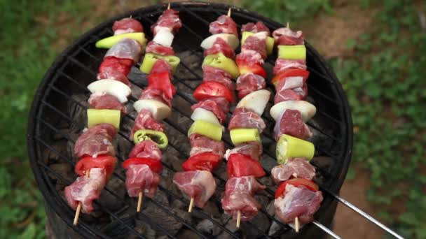 Турецкий кебаб — стоковое видео