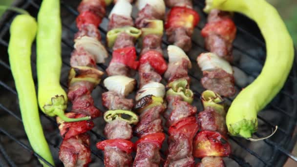 Turkish kebab — Stock Video