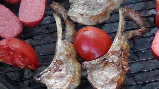 Churrasqueira Grill — Vídeo de Stock