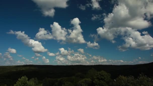 Wald und weiße Wolken im Zeitraffer — Stockvideo