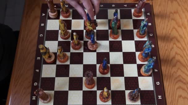 Schach spielen hd 1080p — Stockvideo