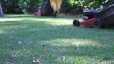 1080 p Hd çim kesme