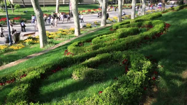 Tijd lapse mensen wandelen in het park — Stockvideo