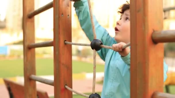 Kleine jongen een park 4 spelen — Stockvideo