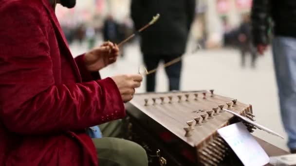 Músico. — Vídeo de stock