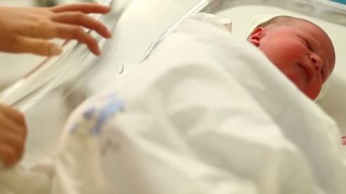 Bebek kuluçka Hastanesi 3