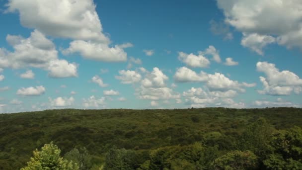 Bosque y nubes — Vídeo de stock