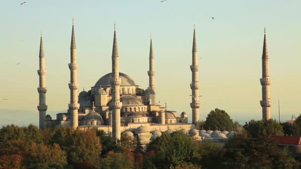 Blue Mosque — Stock Video