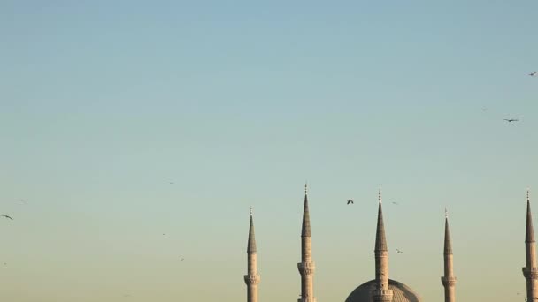 Mesquita azul — Vídeo de Stock