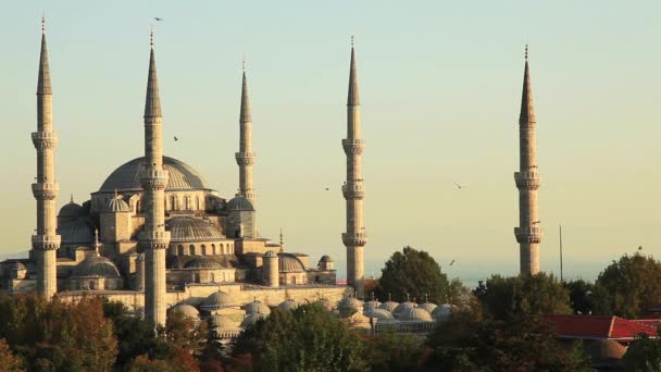 Błękitny meczet — Wideo stockowe