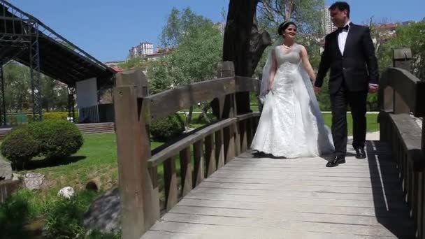 Sposa e sposo — Video Stock